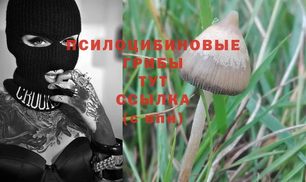 бутират Балахна