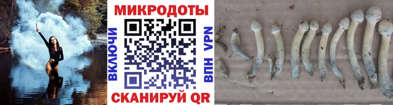 где купить наркоту  Тотьма  Псилоцибиновые грибы прущие грибы 